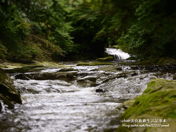 千葉旅遊養老溪谷
