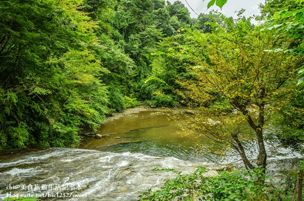An aerial view of waves crashing against a shore.
