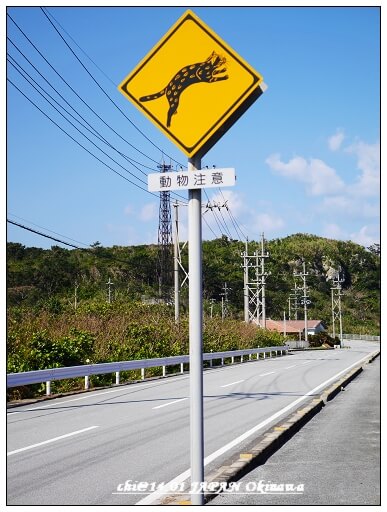 西表島山貓注意標誌