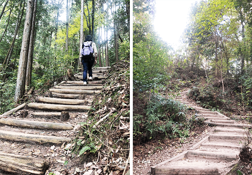 大阪星田園地登山步道