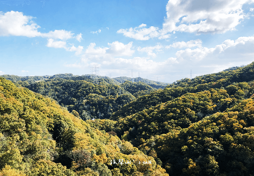 大阪星田園地山林