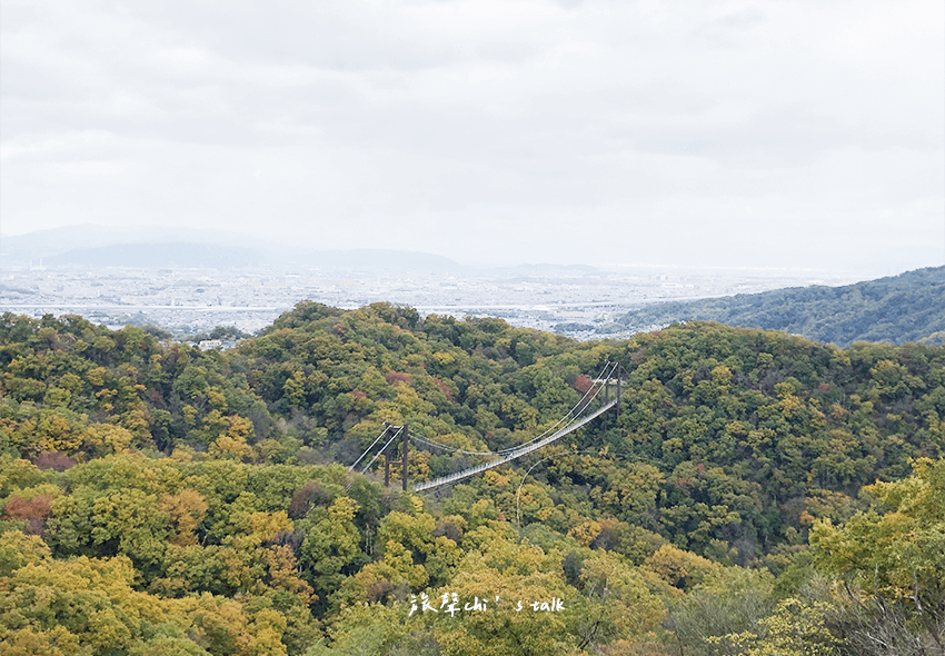 大阪星田園地遠眺吊橋