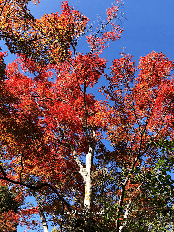 An aerial view of a field. A road runs through the upper right corner.