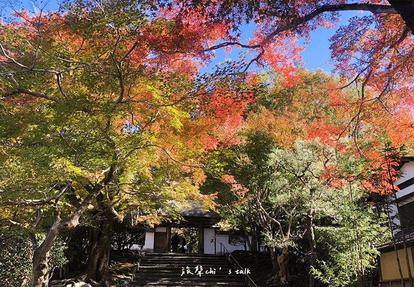 京都賞楓名所安樂寺