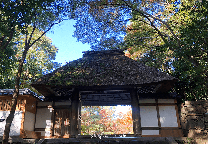 京都賞楓法然寺