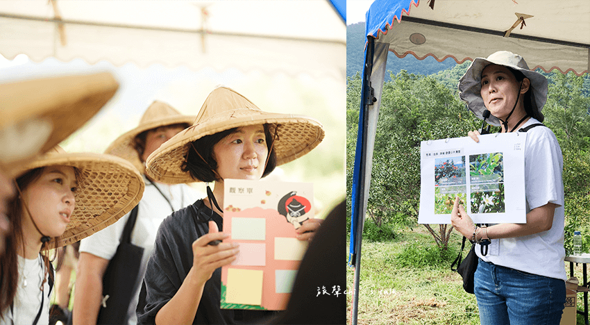 茶籽堂永續行程透過五感感受苦茶樹