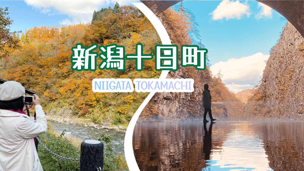 新潟十日町一日遊