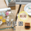 新潟百花園和菓子甜點展示