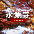 關東近郊賞楓 茨城永源寺