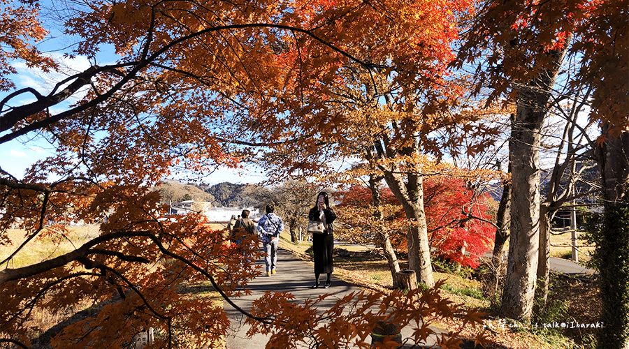 東京近郊賞楓推薦 茨城永源寺入口處紅葉美景