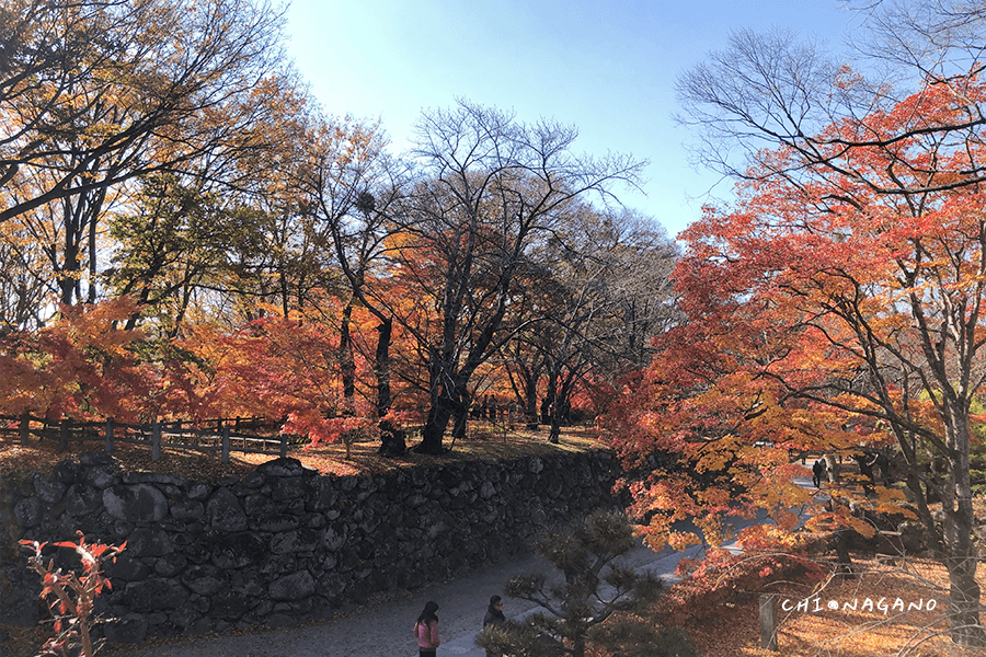 東京旅遊 長野賞楓小諸城址懷古園二之門跡