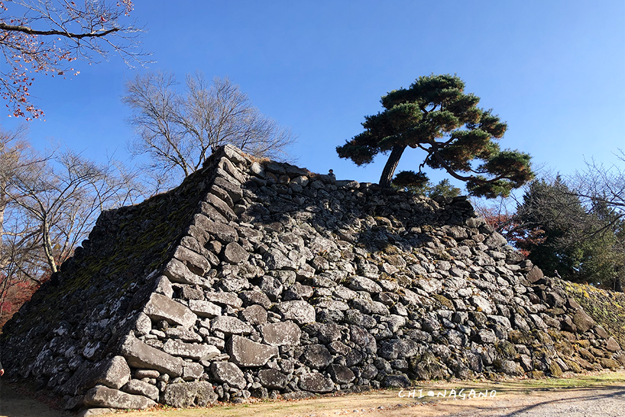 長野自由行 小諸城址懷古園天守台